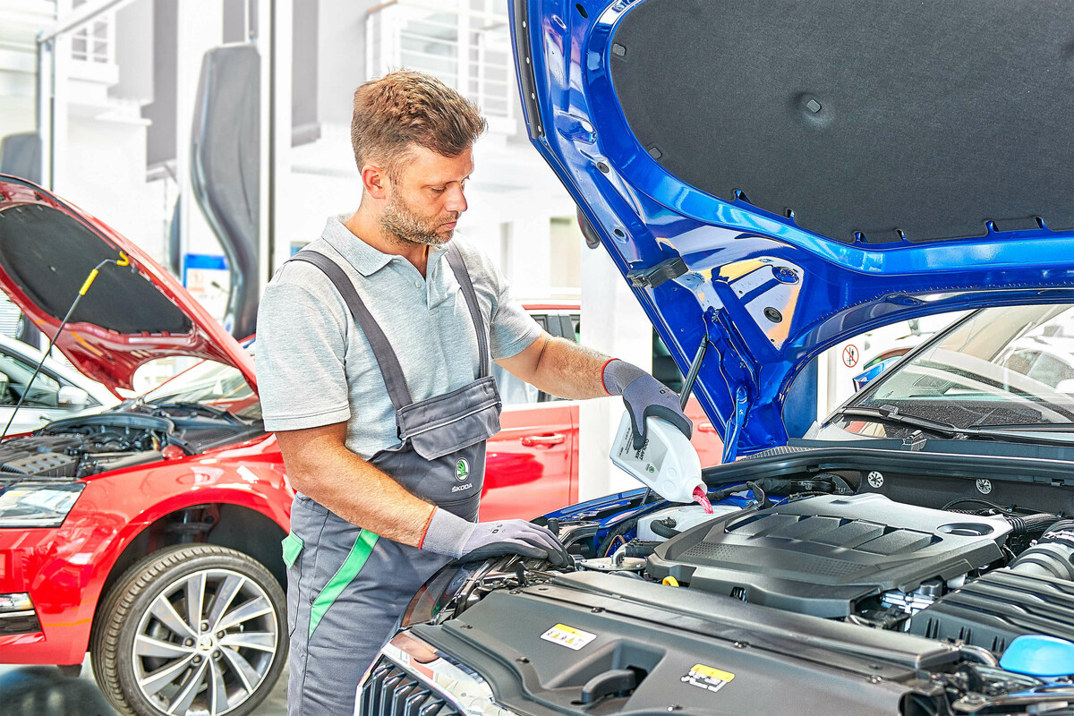 Menjava olja in oljnega filtra